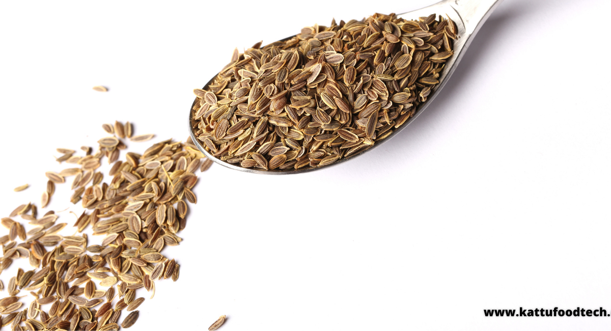 Food Science & Technology Quiz (12-01-2022)