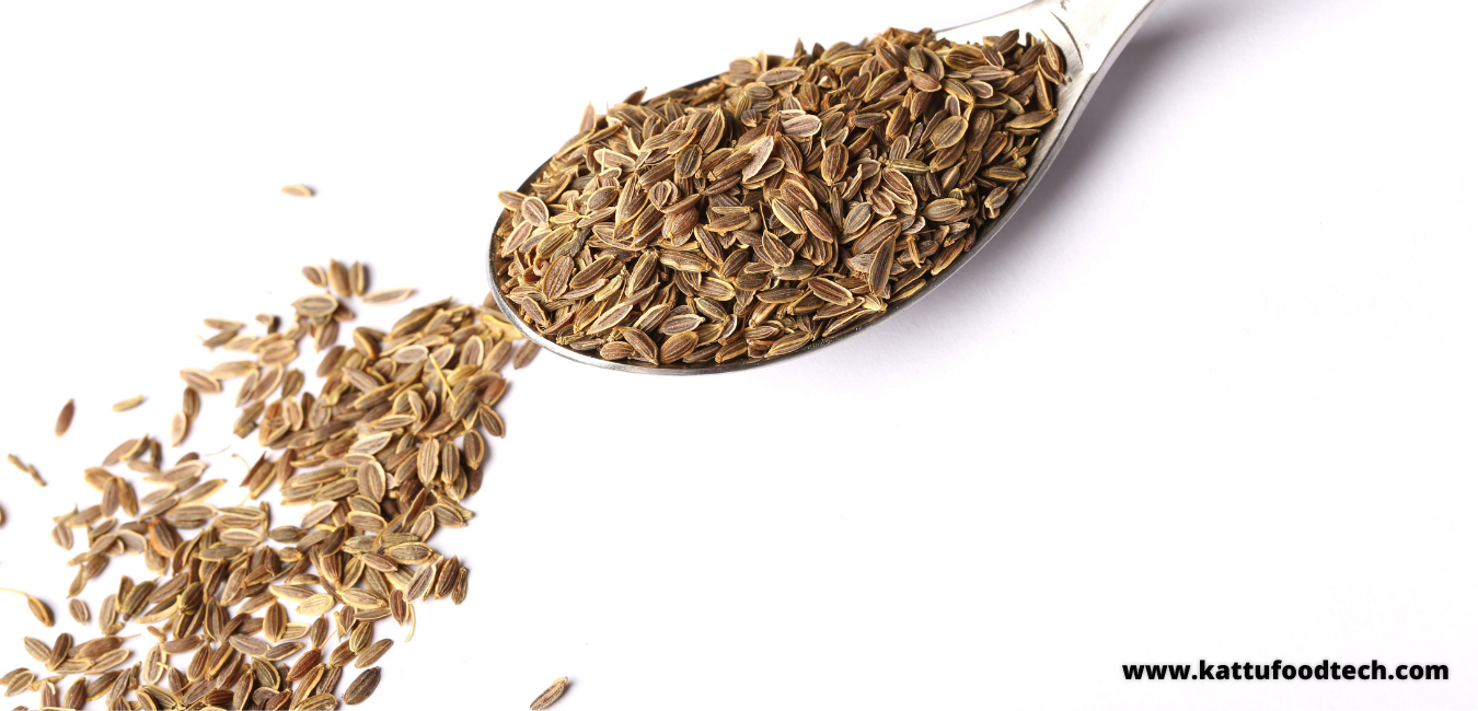 Carvone is major constituent of the dill seed oil – Food Science | KATTUFOODTECH