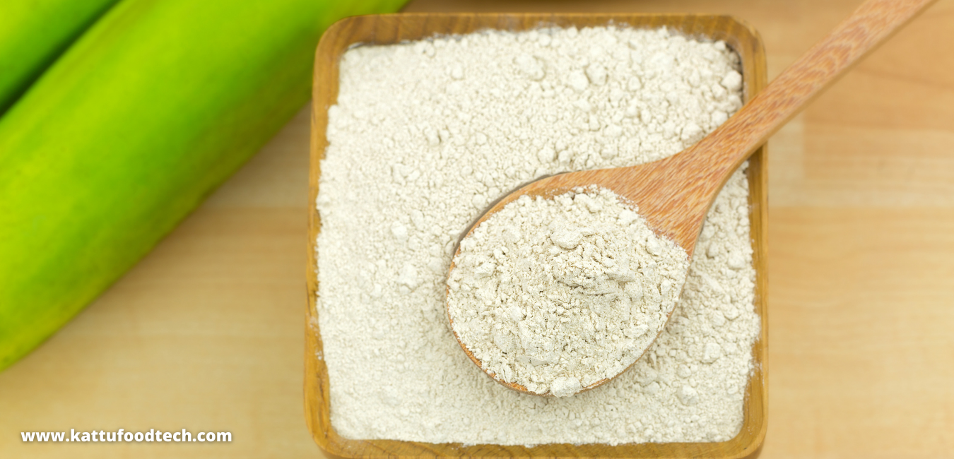 Synbiotics are combinations of probiotics and prebiotics – Food Science | KATTUFOODTECH