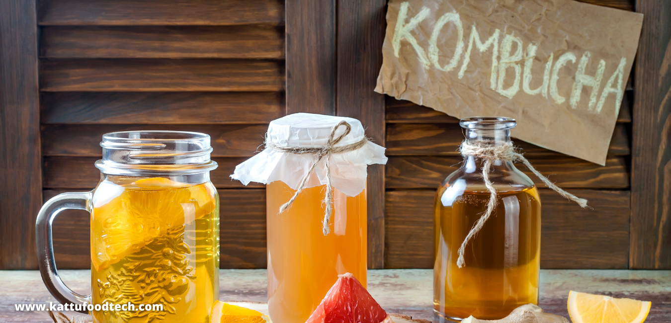 Kombucha often called tea mushroom – Learn more about Food Science | KATTUFOODTECH