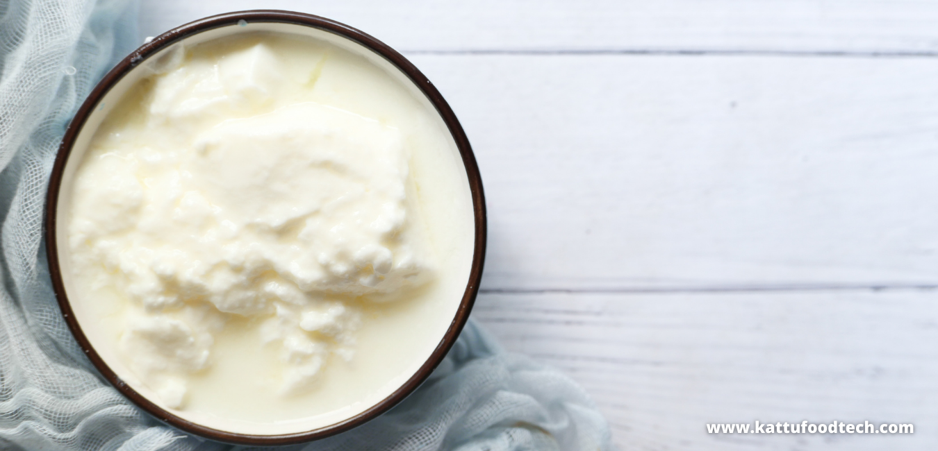 Proteolysis contributes to the texture cheeses and yogurts – Food Science | KATTUFOODTECH