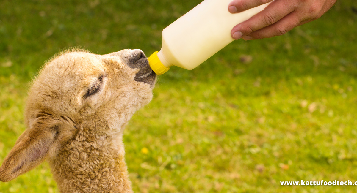 Colostrum contains a high concentration of Galacto-oligosaccharides – Food Science & Technology Quiz (11-02-2022)