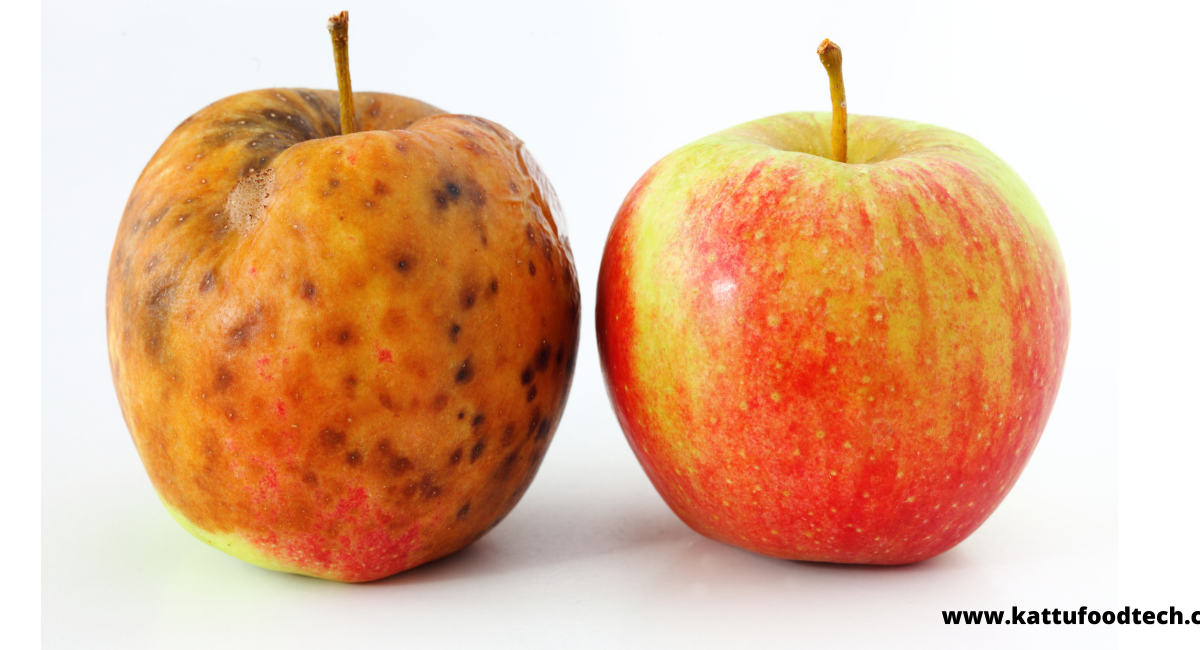 Food Science & Technology Quiz (23-02-2022)