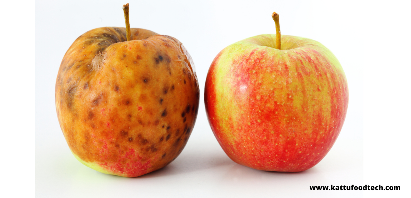 Bruising of fruits occur due to Release of enzymes – Food Science | KATTUFOODTECH