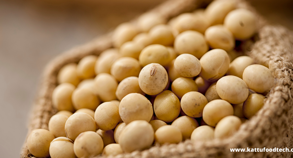 Food Science & Technology Quiz (27-02-2022)