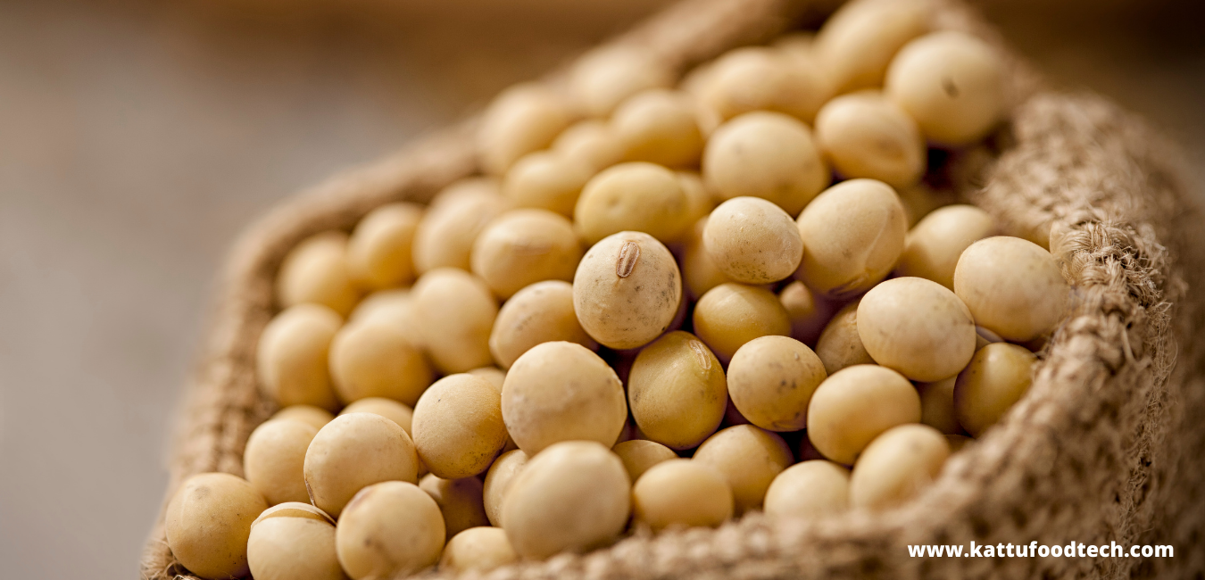 Soybeans and soy-based foodstuffs are a rich source of Isoflavones – Food Science | KATTUFOODTECH