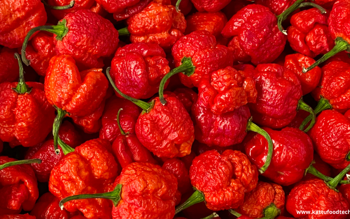 Food Science & Technology Quiz (17-03-2022)