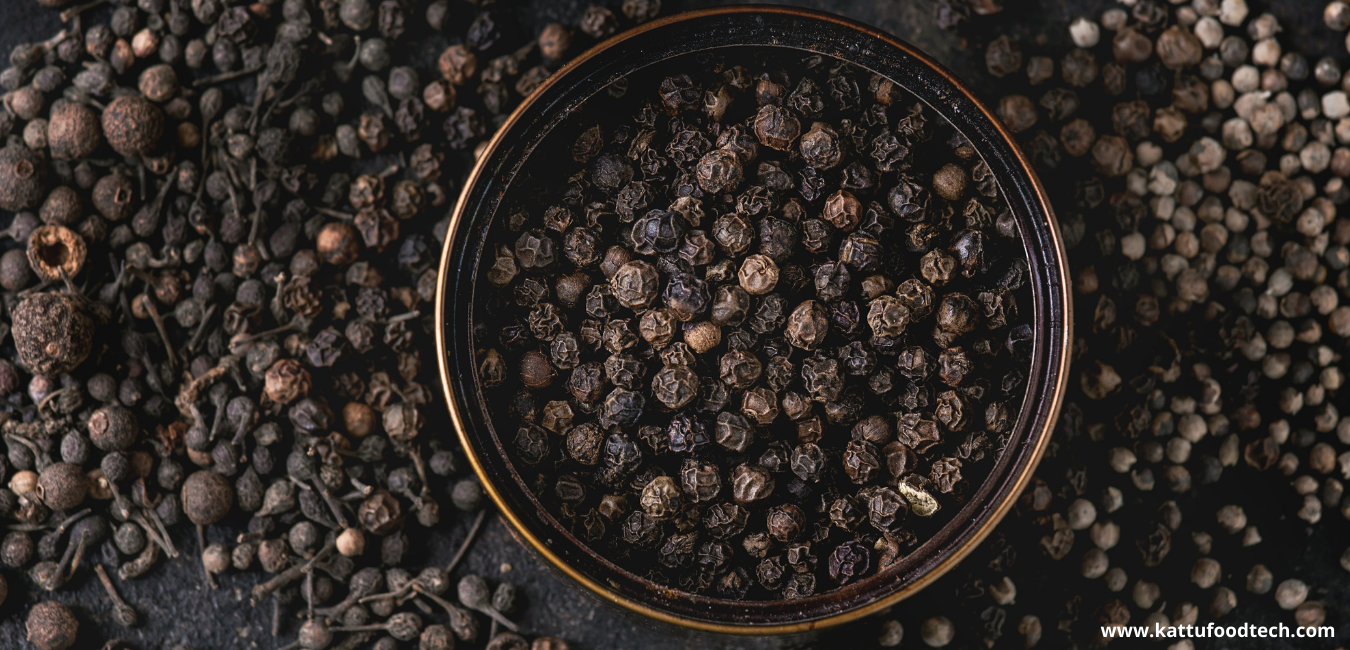 Piperine the main component responsible for black pepper’s spiciness – Food Science | KATTUFOODTECH