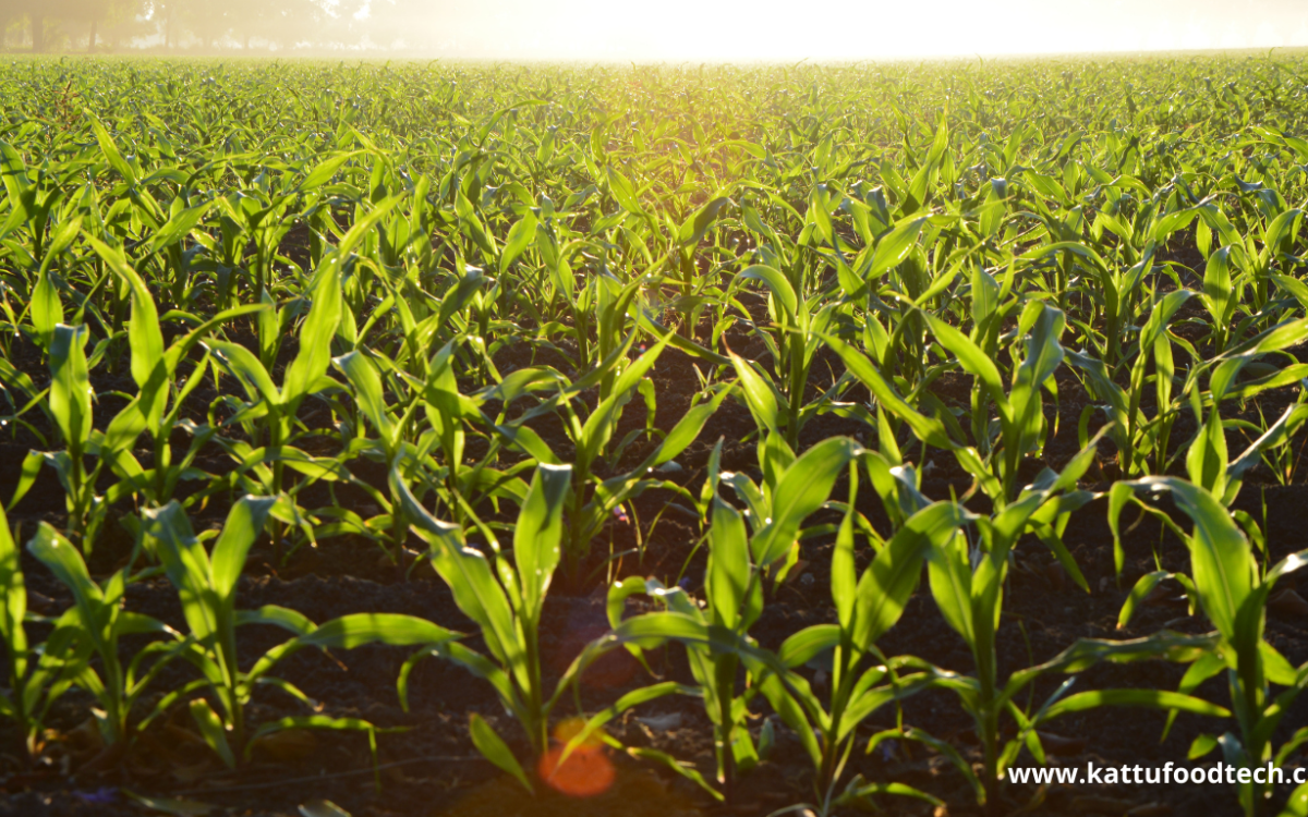 Food Science & Technology Quiz (29-04-2022)