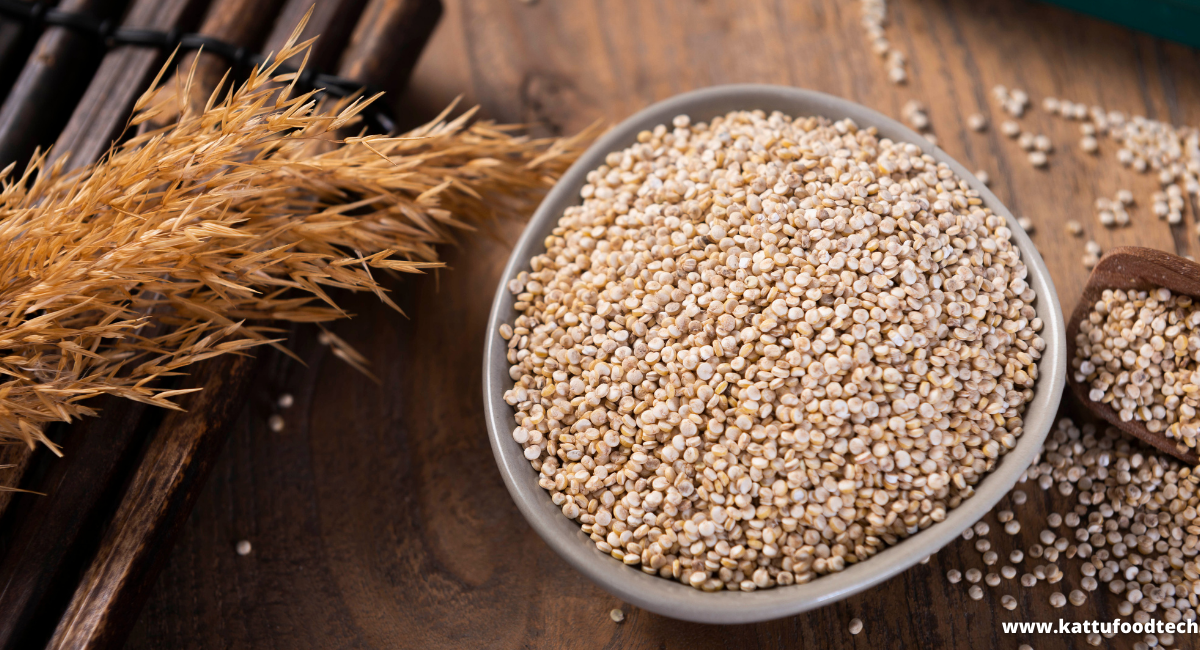 Food Science & Technology Quiz (05-04-2022)