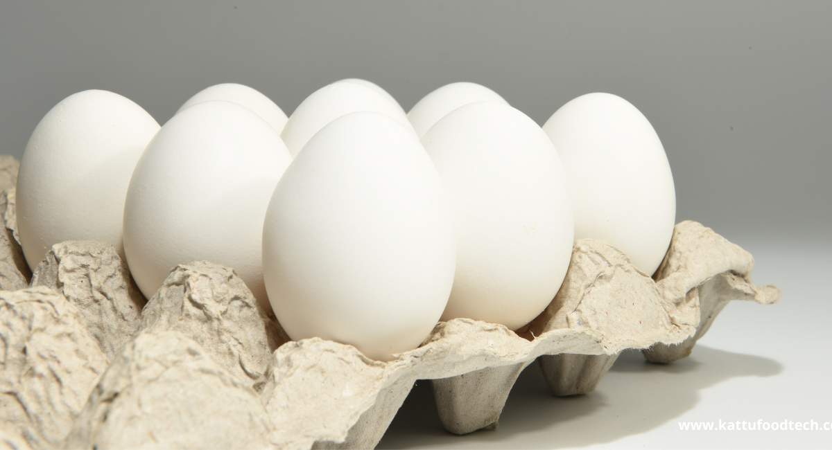 Food Science & Technology Quiz (11-04-2022)