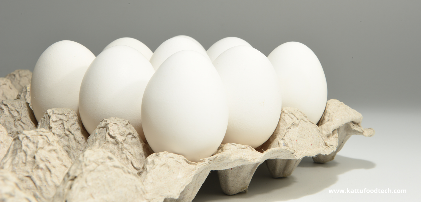 Filler tray is a very common form of packaging the eggs  – Food Industry