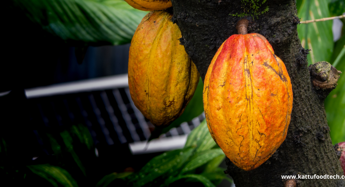 Food Science & Technology Quiz (13-04-2022)