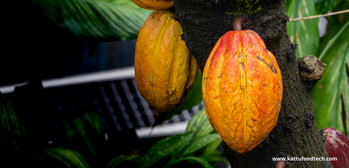 In Tal prolong, fruits are coated by Carboxymethyl cellulose (CMC) | KATTUFOODTECH