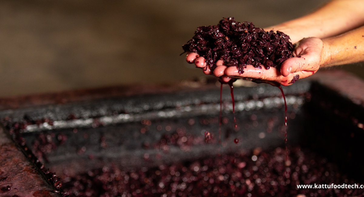 Food Science & Technology Quiz (14-04-2022)