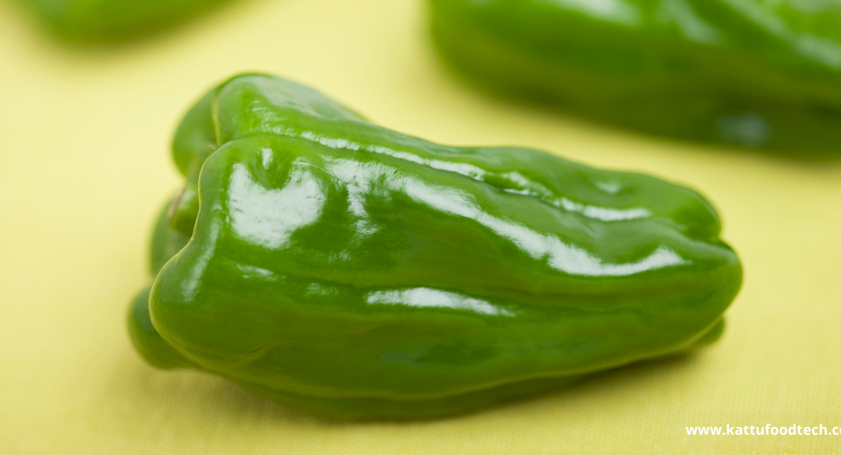 Food Science & Technology Quiz (15-04-2022)