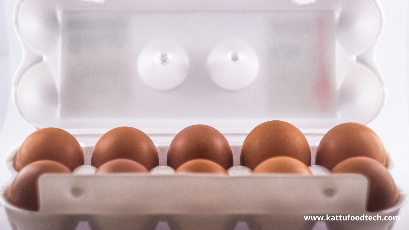 Filler tray is a very common form of packaging for eggs | KATTUFOODTECH