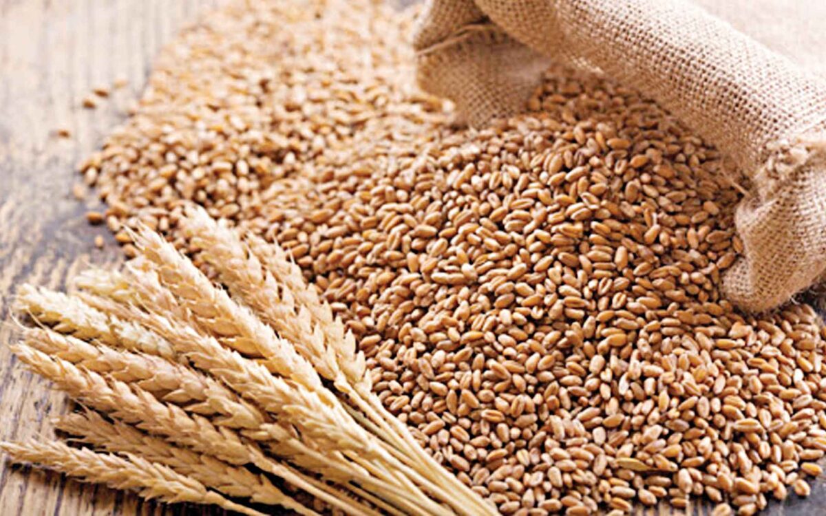 Government announces some relaxation in wheat export ban