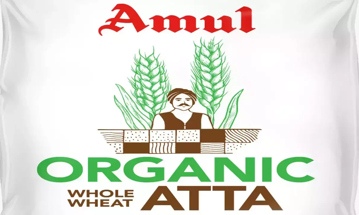 Amul launches Organic Atta starting at ₹60 – Food Industry News