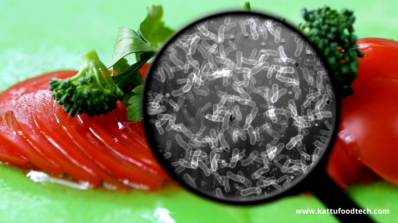 Pathogenic bacteria cannot grow below a water activity of 0.85–0.86 – Learn about Food Science & Technology | KATTUFOODTECH