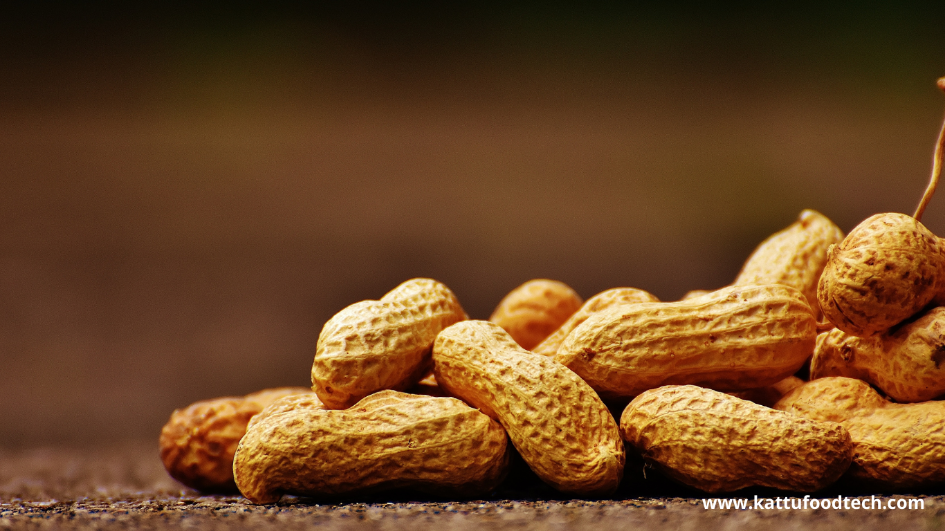 Storage life of shelled, roasted, & salted peanuts is 3 weeks at room temperature | KATTUFOODTECH