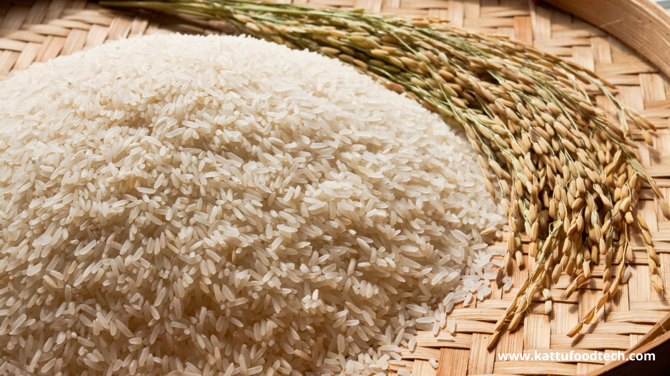 Govt issues SOP to maintain quality standards for rice fortification | KATTUFOODTECH
