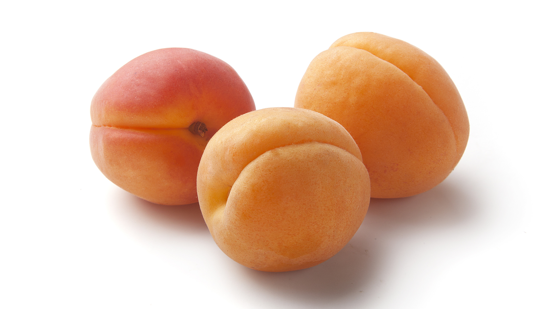 apeda-boosts-exports-of-apricots-from-ladakh-food-industry-news