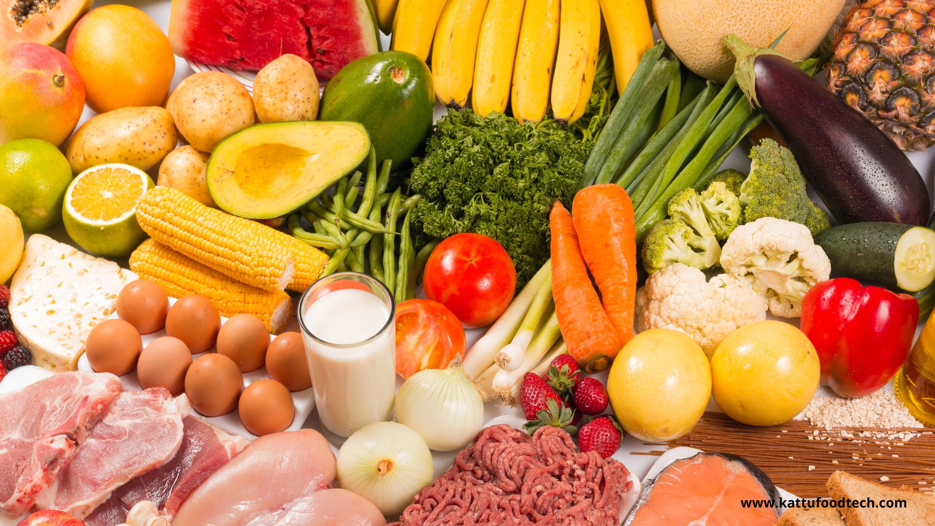 FAO outlines steps to address global food crisis – KATTUFOODTECH | Food Industry News