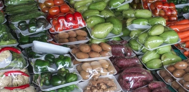 Scientists in Guwahati develop ultrathin heteroprotein film for food packing
