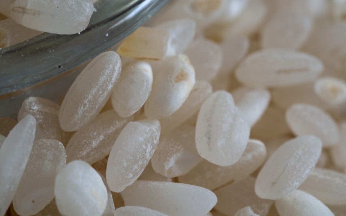 Roquette launches new rice protein – Food Industry News