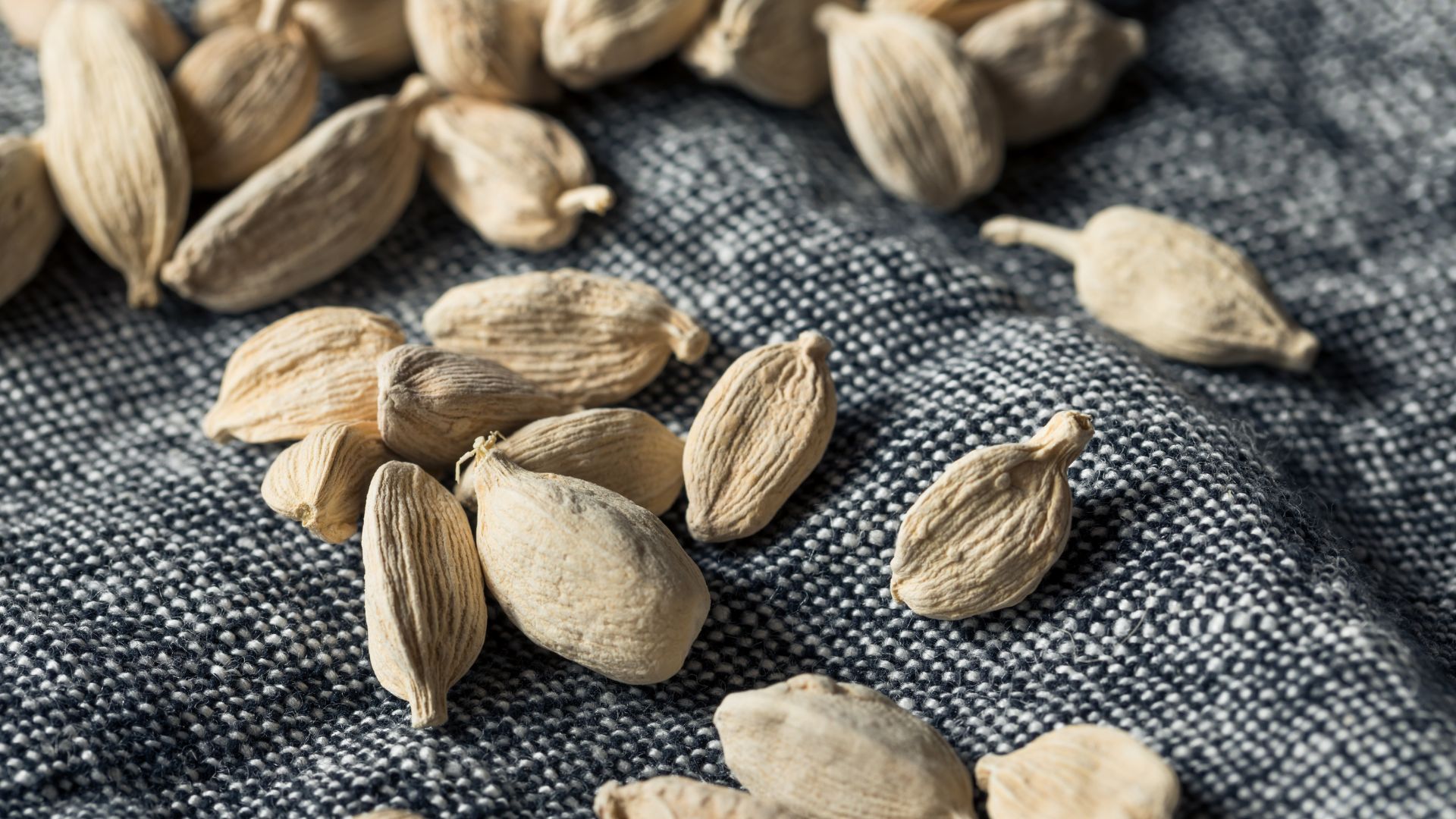 Small Cardomom is known as the queen of spices – Food Science | KATTUFOODTECH