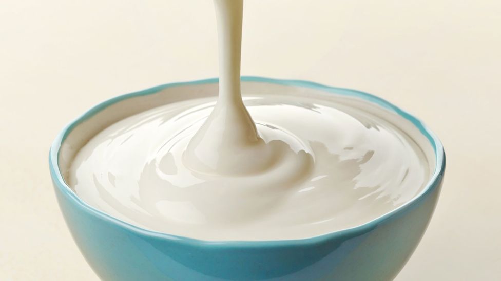 Scientists identify lactic acid bacteria that create natural sweetness in yoghurt