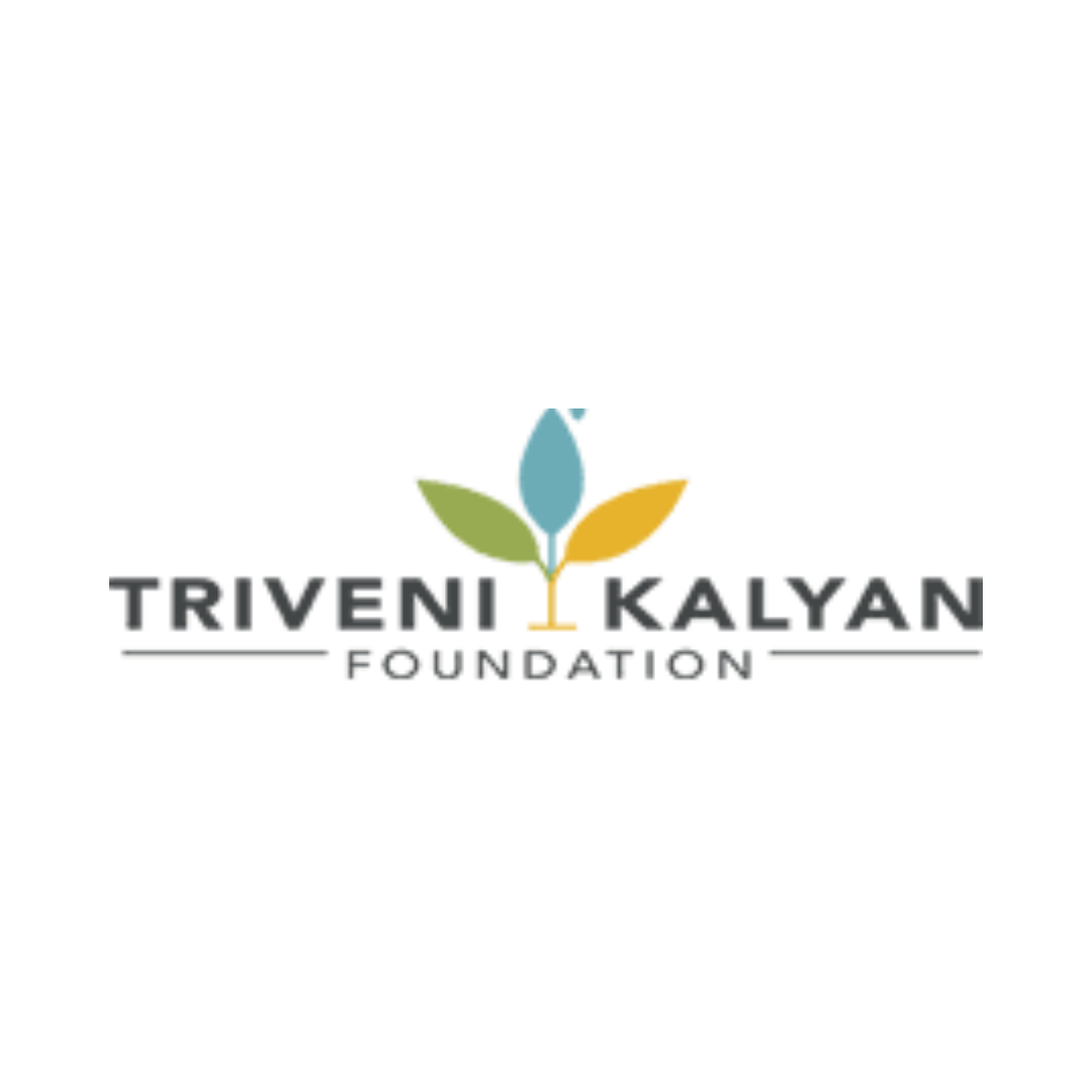 Triveni Kalyan foundation- Pidilite CSR