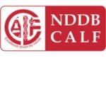 NDDB Calf Limited